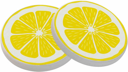 Lemon Slice Style Citrus Fresh Fruit Juice Organic Summer Absorbent Drink Coaster Set of 2 Unique Beer Beverage Coasters for Coffee Table Cup Bar Cute Cork Ceramic Coasters