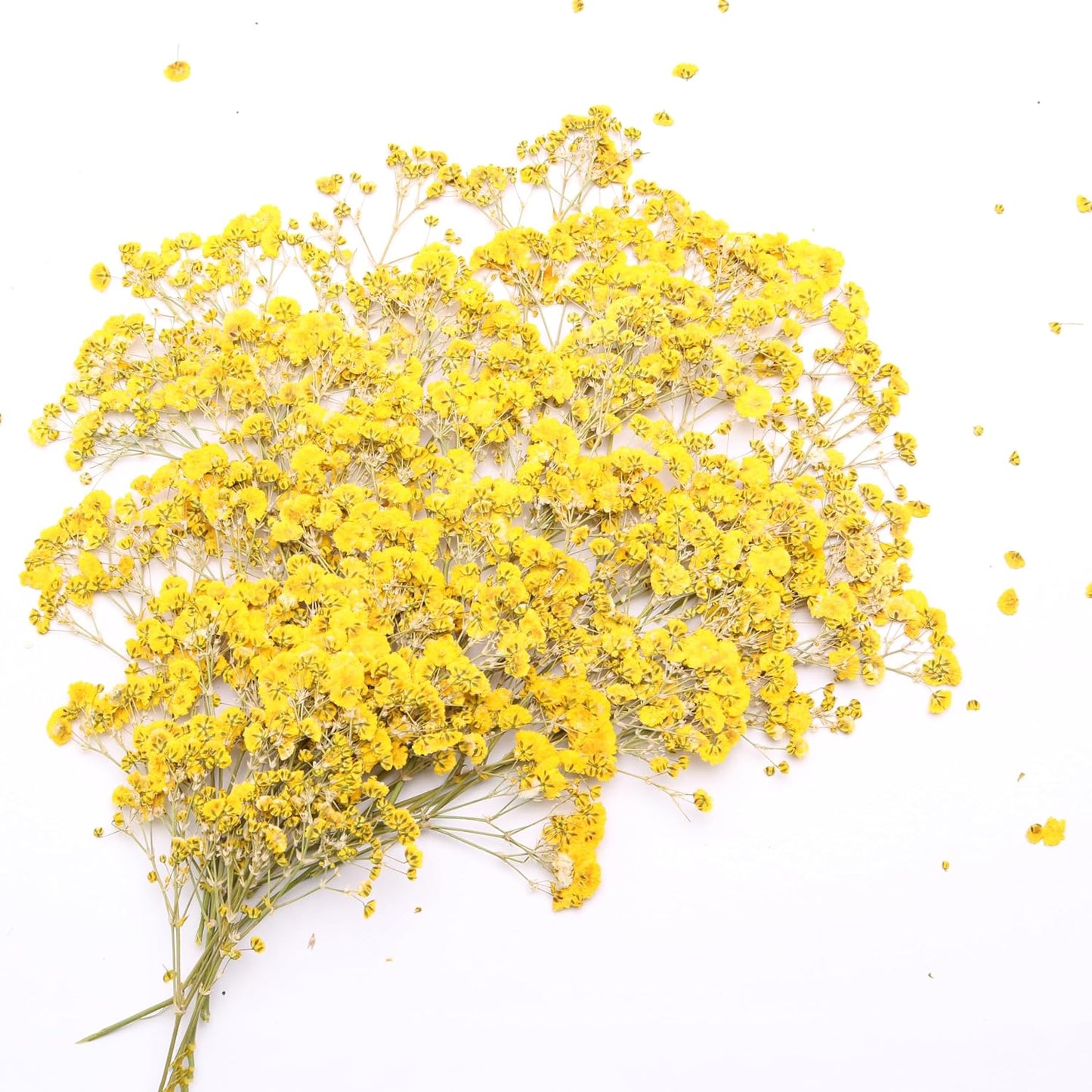 Yellow 70 Pcs Mini Babies Breath Pressed Flower for Resin Art / Invitations Card Decor/Bookmark Jewelry DIY Craft, Real Dried Pressed Baby Breath Flowers Bulk with 2 Tweezers.