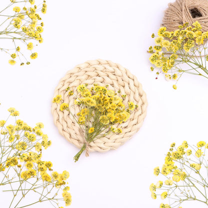 Yellow 70 Pcs Mini Babies Breath Pressed Flower for Resin Art / Invitations Card Decor/Bookmark Jewelry DIY Craft, Real Dried Pressed Baby Breath Flowers Bulk with 2 Tweezers.