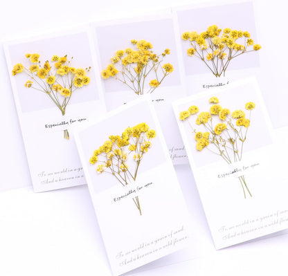 Yellow 70 Pcs Mini Babies Breath Pressed Flower for Resin Art / Invitations Card Decor/Bookmark Jewelry DIY Craft, Real Dried Pressed Baby Breath Flowers Bulk with 2 Tweezers.