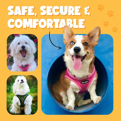 Yellow Step-in Dog Harness for Extra Small Sized Pets – Updated Sizing, Re-Measuring is Essential – Soft Vest Harness – Anti-Choke with Adjustable Strap & Heavy Duty Clip – XS