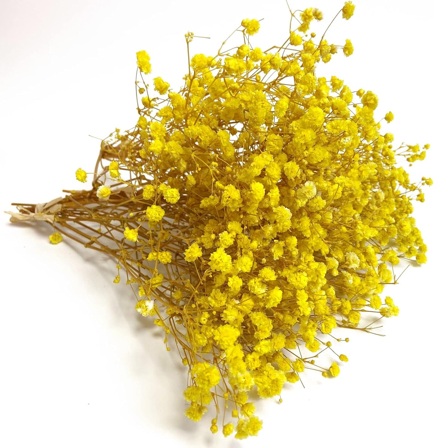 Preserved Baby's Breath 3 Bunches, 100% Natrual Fresh Gypsophila Long Lasting Flowers for Vase Arrangements Home Decoration Photo Props Parties and Weddings, DIY Décor-Yellow