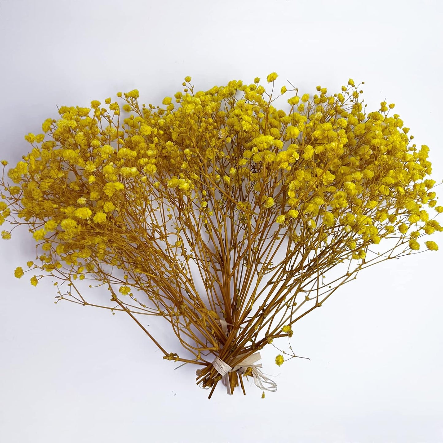 Preserved Baby's Breath 3 Bunches, 100% Natrual Fresh Gypsophila Long Lasting Flowers for Vase Arrangements Home Decoration Photo Props Parties and Weddings, DIY Décor-Yellow
