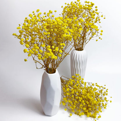 Preserved Baby's Breath 3 Bunches, 100% Natrual Fresh Gypsophila Long Lasting Flowers for Vase Arrangements Home Decoration Photo Props Parties and Weddings, DIY Décor-Yellow