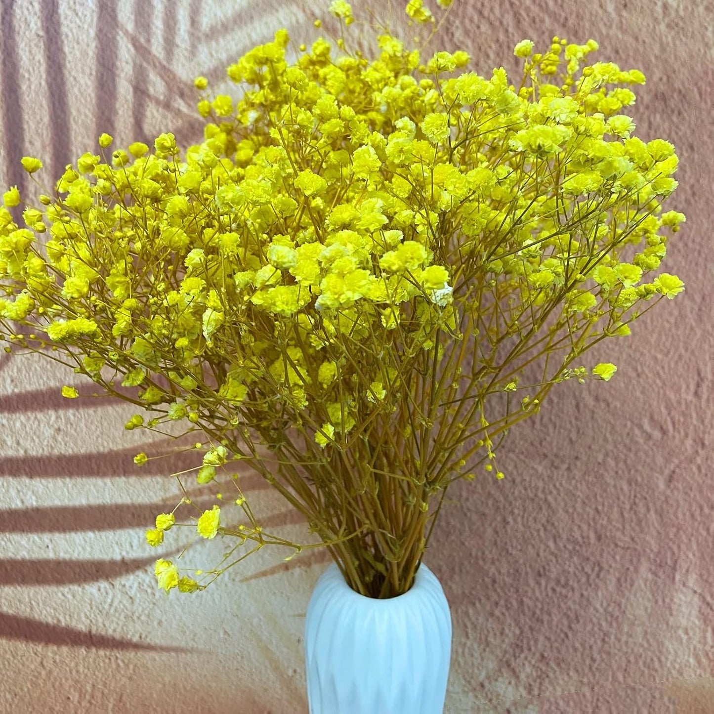 Preserved Baby's Breath 3 Bunches, 100% Natrual Fresh Gypsophila Long Lasting Flowers for Vase Arrangements Home Decoration Photo Props Parties and Weddings, DIY Décor-Yellow