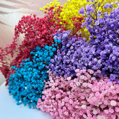 Preserved Baby's Breath 3 Bunches, 100% Natrual Fresh Gypsophila Long Lasting Flowers for Vase Arrangements Home Decoration Photo Props Parties and Weddings, DIY Décor-Yellow