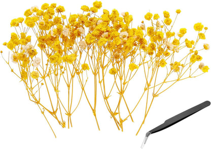 Mini Dried Gypsophila Flower Kit, 30Pcs 4 Inch Yellow Natural Pressed Floral Bundles with Tweezer for DIY Resin Crafts Gift Wedding Christmas Card Decor Flower Bouquets