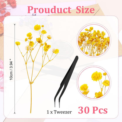 Mini Dried Gypsophila Flower Kit, 30Pcs 4 Inch Yellow Natural Pressed Floral Bundles with Tweezer for DIY Resin Crafts Gift Wedding Christmas Card Decor Flower Bouquets