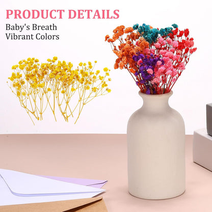 Mini Dried Gypsophila Flower Kit, 30Pcs 4 Inch Yellow Natural Pressed Floral Bundles with Tweezer for DIY Resin Crafts Gift Wedding Christmas Card Decor Flower Bouquets