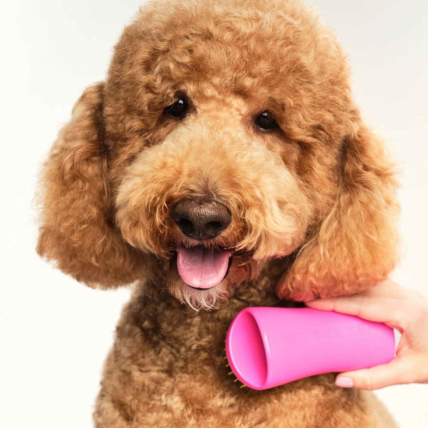 Detangling Dog Brush for Long Hair Breeds, Large, Pink & Yellow | Dog grooming tool with patented two-tier teeth to detangle & lift dirt for thick, double-coated dogs & wet or dry fur