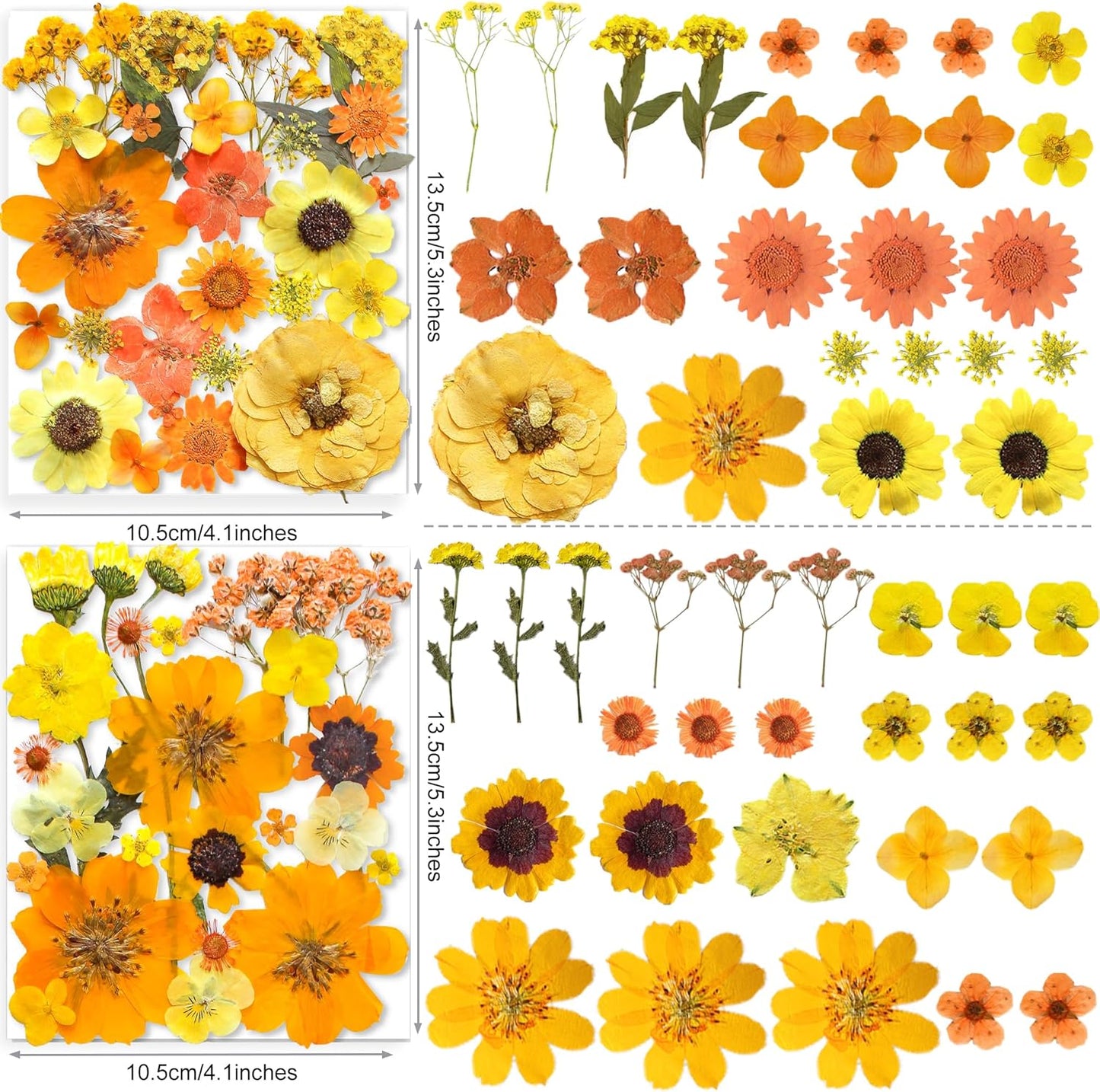150PCS Yellow Dried Pressed Flowers for Resin - Real Nature Flowers Herb Set for DIY Jewelry Candle Soap Vase Making Nail Card Scrapbook Art Craft Floral Decors