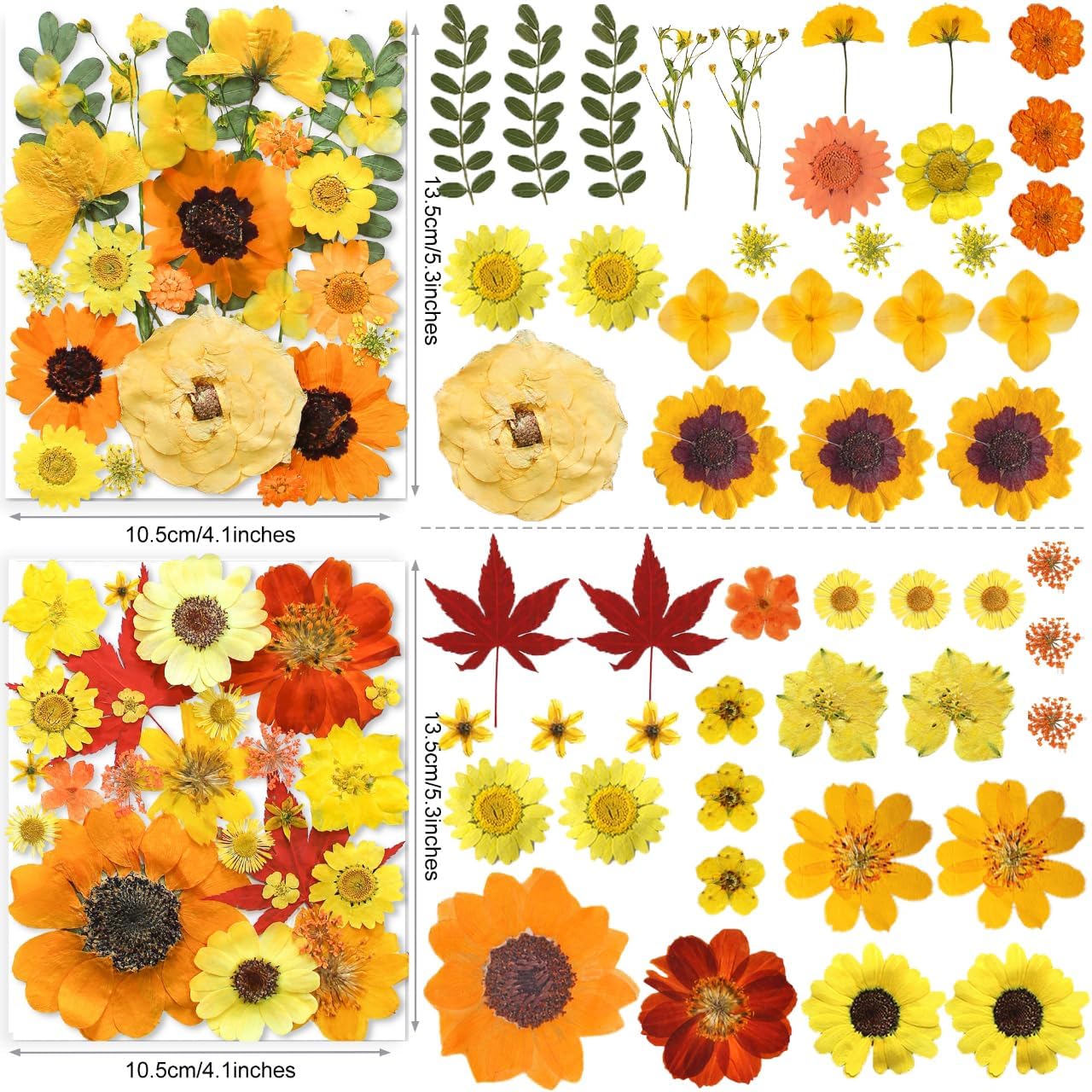 150PCS Yellow Dried Pressed Flowers for Resin - Real Nature Flowers Herb Set for DIY Jewelry Candle Soap Vase Making Nail Card Scrapbook Art Craft Floral Decors