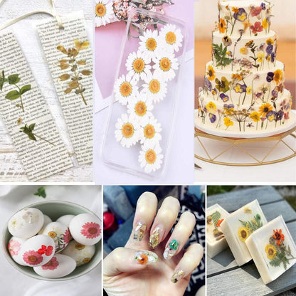 150PCS Yellow Dried Pressed Flowers for Resin - Real Nature Flowers Herb Set for DIY Jewelry Candle Soap Vase Making Nail Card Scrapbook Art Craft Floral Decors