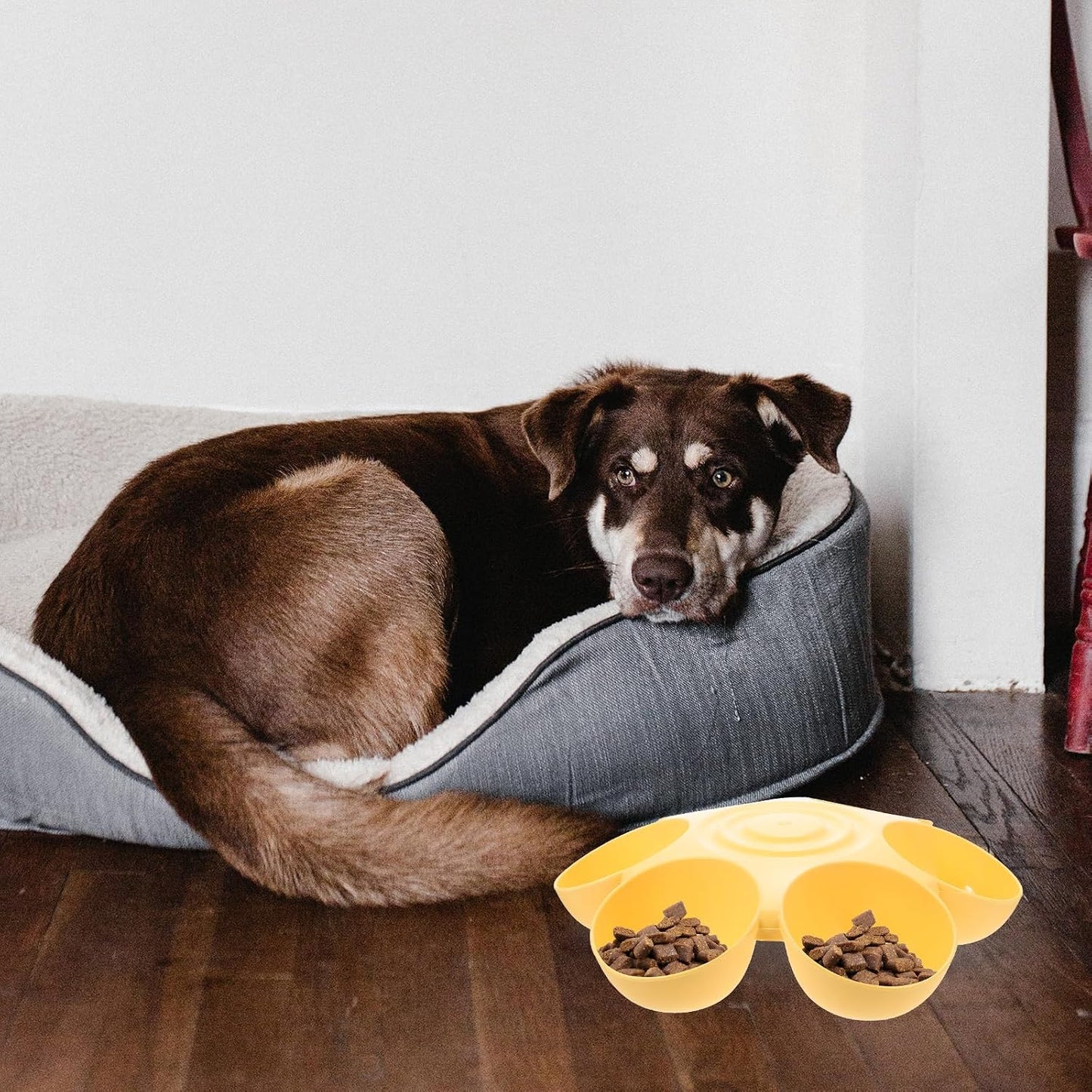 Flower Shape Pet Feeding Bowl 14.17 X 14.17 X 3.54 in Plastic Cat Feeder Multiple Cat Food Bowl Dog Treats Dispenser Food and Water Dish for Easy Feeding and Cleaning