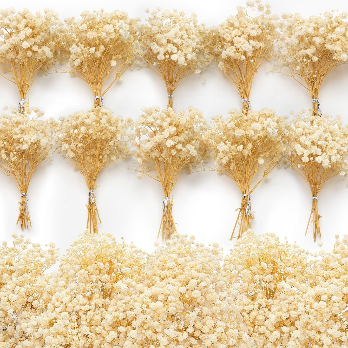 6500+ Mini Dried Baby's Breath Flowers, 6'' Natural Ivory White Flowers | 140Pcs Pressed Gypsophila Bouquet Present for Resin Art Craft DIY, Valentine's Day, Wedding Wreath, Card Making, Home Decor