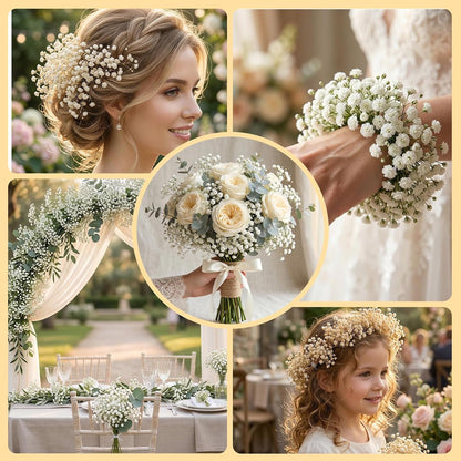 6500+ Mini Dried Baby's Breath Flowers, 6'' Natural Ivory White Flowers | 140Pcs Pressed Gypsophila Bouquet Present for Resin Art Craft DIY, Valentine's Day, Wedding Wreath, Card Making, Home Decor