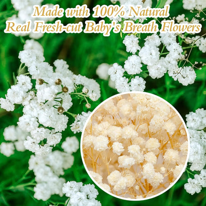 6500+ Mini Dried Baby's Breath Flowers, 6'' Natural Ivory White Flowers | 140Pcs Pressed Gypsophila Bouquet Present for Resin Art Craft DIY, Valentine's Day, Wedding Wreath, Card Making, Home Decor