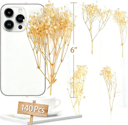 6500+ Mini Dried Baby's Breath Flowers, 6'' Natural Ivory White Flowers | 140Pcs Pressed Gypsophila Bouquet Present for Resin Art Craft DIY, Valentine's Day, Wedding Wreath, Card Making, Home Decor