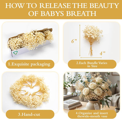 6500+ Mini Dried Baby's Breath Flowers, 6'' Natural Ivory White Flowers | 140Pcs Pressed Gypsophila Bouquet Present for Resin Art Craft DIY, Valentine's Day, Wedding Wreath, Card Making, Home Decor