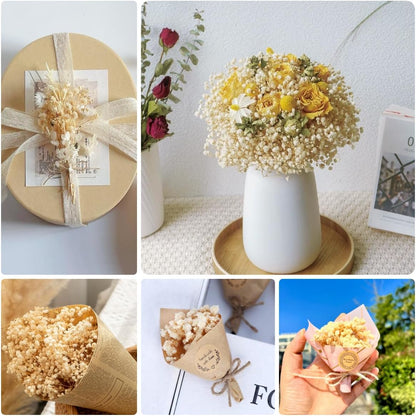 6500+ Mini Dried Baby's Breath Flowers, 6'' Natural Ivory White Flowers | 140Pcs Pressed Gypsophila Bouquet Present for Resin Art Craft DIY, Valentine's Day, Wedding Wreath, Card Making, Home Decor