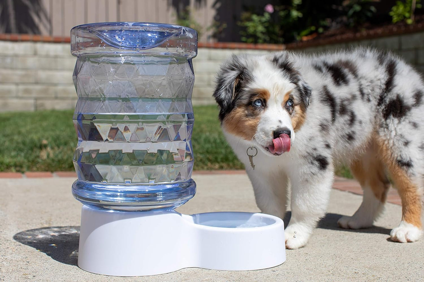 H2O Gravity Pet Water Dispenser. Durable 2.5 Gallon Waterer Feeder. Automatic Station for Cats & Small, Medium, Large Dogs, Transparent