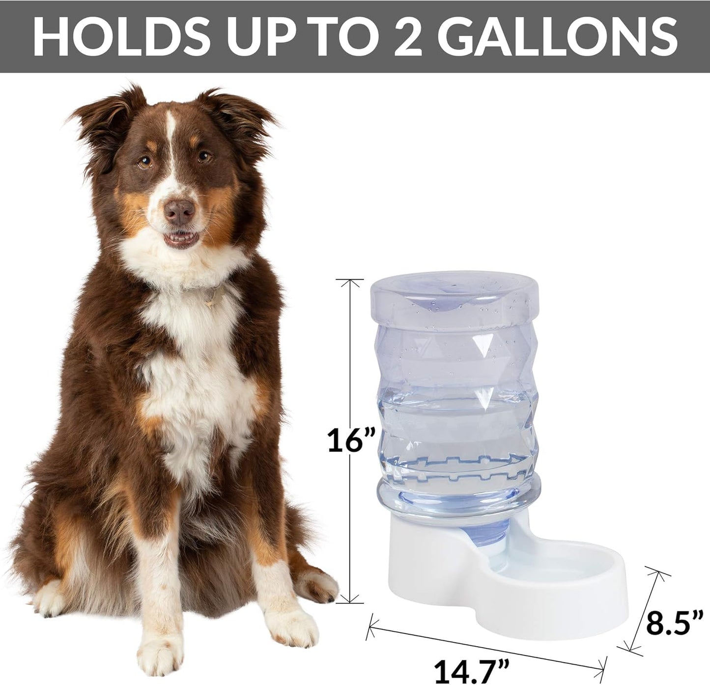 H2O Gravity Pet Water Dispenser. Durable 2.5 Gallon Waterer Feeder. Automatic Station for Cats & Small, Medium, Large Dogs, Transparent