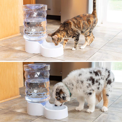 H2O Gravity Pet Water Dispenser. Durable 2.5 Gallon Waterer Feeder. Automatic Station for Cats & Small, Medium, Large Dogs, Transparent