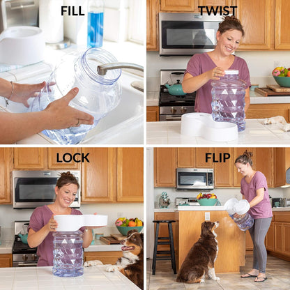 H2O Gravity Pet Water Dispenser. Durable 2.5 Gallon Waterer Feeder. Automatic Station for Cats & Small, Medium, Large Dogs, Transparent