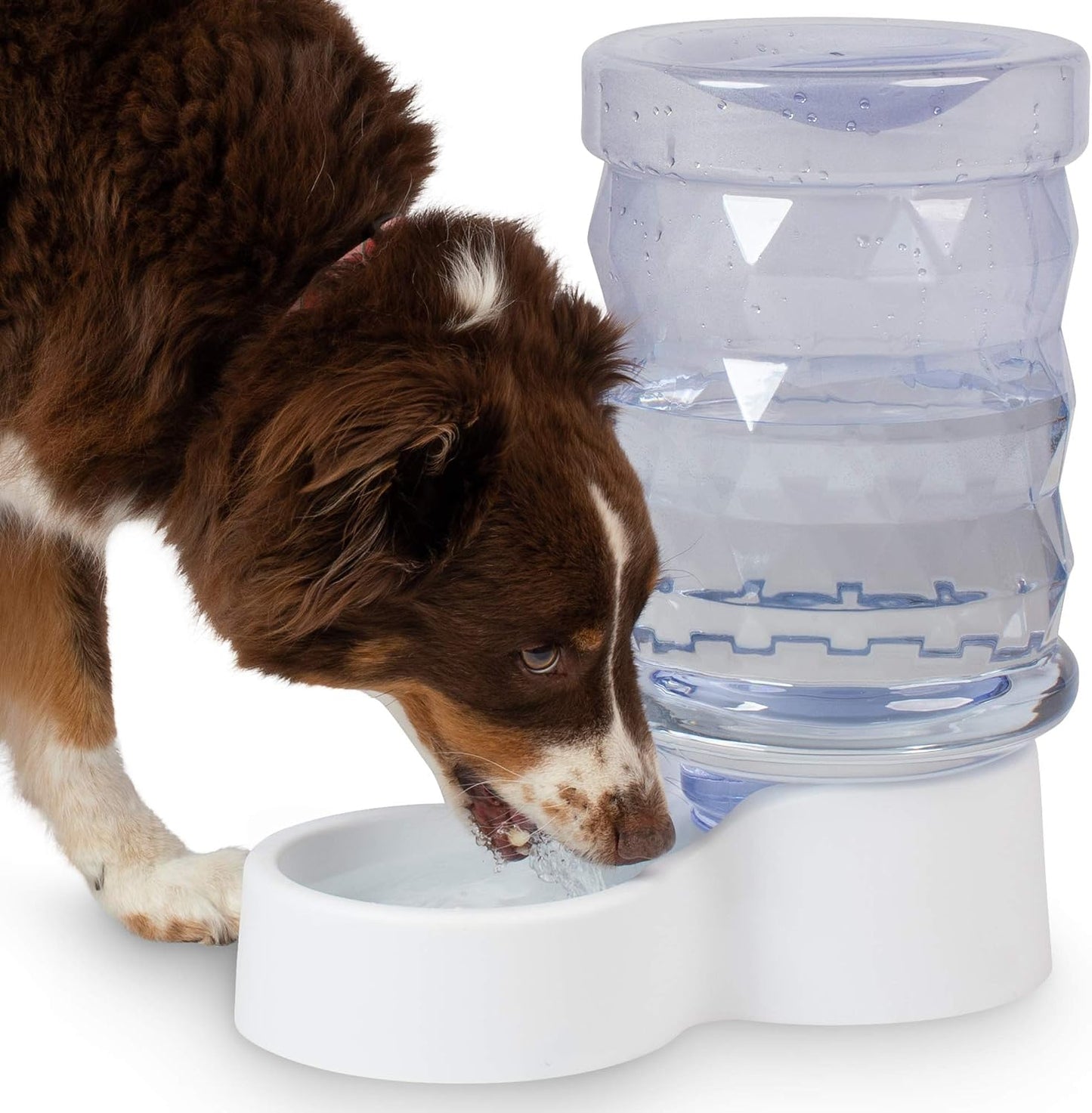 H2O Gravity Pet Water Dispenser. Durable 2.5 Gallon Waterer Feeder. Automatic Station for Cats & Small, Medium, Large Dogs, Transparent