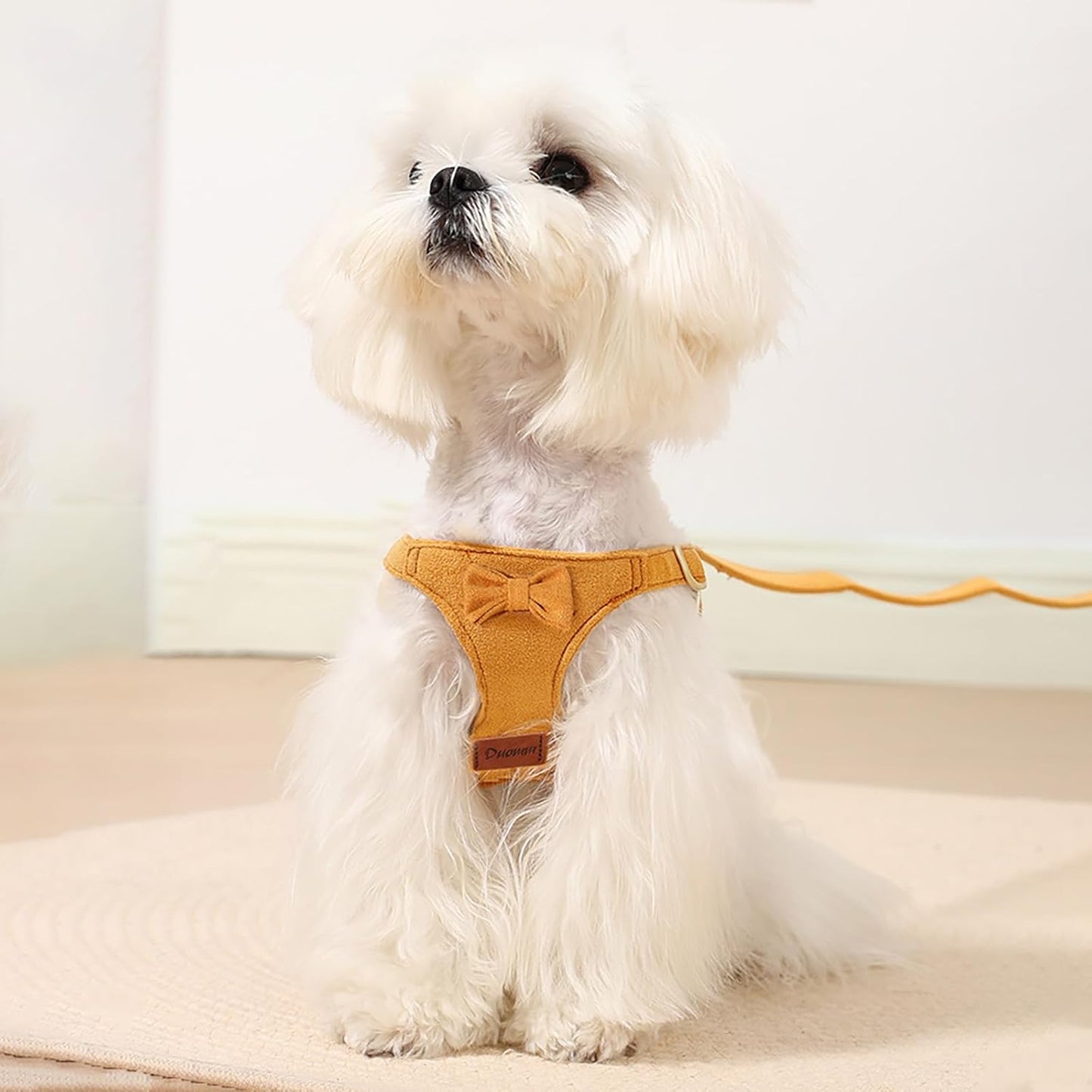 Cute Small Dog Harness and Leash Puppy Set with Bowtie,Step in Dog Harnesses,Soft Adjustable Cat & Dog Vest,Harness for Small Cats & Dogs Walks and Parties(Yellow,S:Weight 8.8-17.6lb)