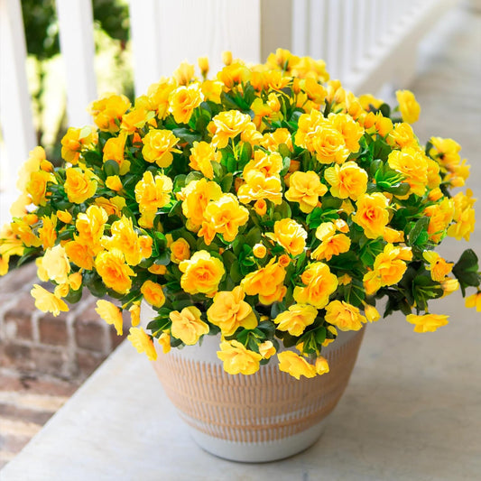 Artificial Fake Flowers Plants for Spring Outdoor Outside Decor, Faux Silk Yellow Camellia UV Resistant Realistic for Planter Front Door Porch Patio Balcony Decoration, 3 Large Bundles