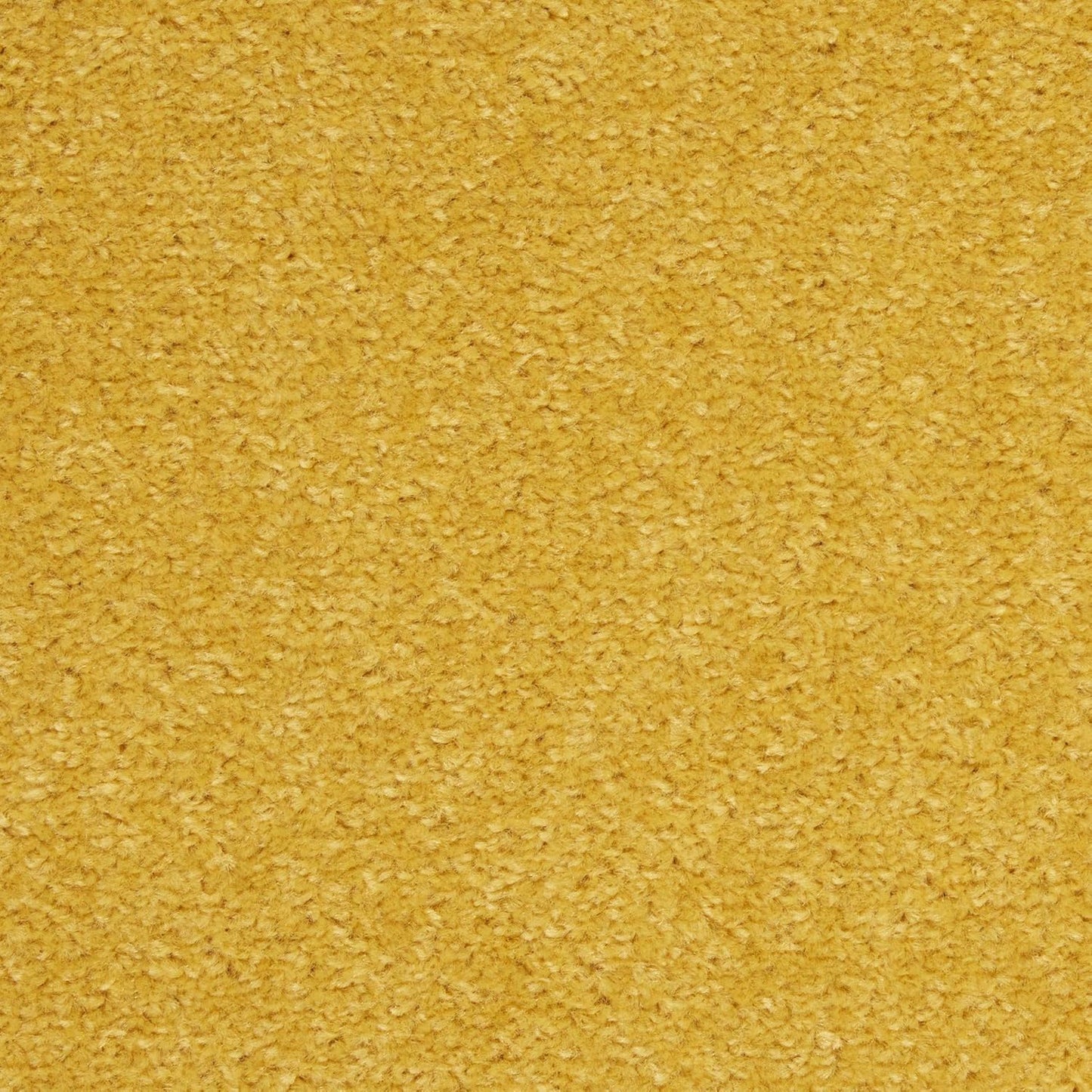 Nourison Essentials Yellow 5' x Square Area Rug - Easy Clean, Non Shedding, Bed Room, Living Room, Dining Room, Kitchen (5' x Square)