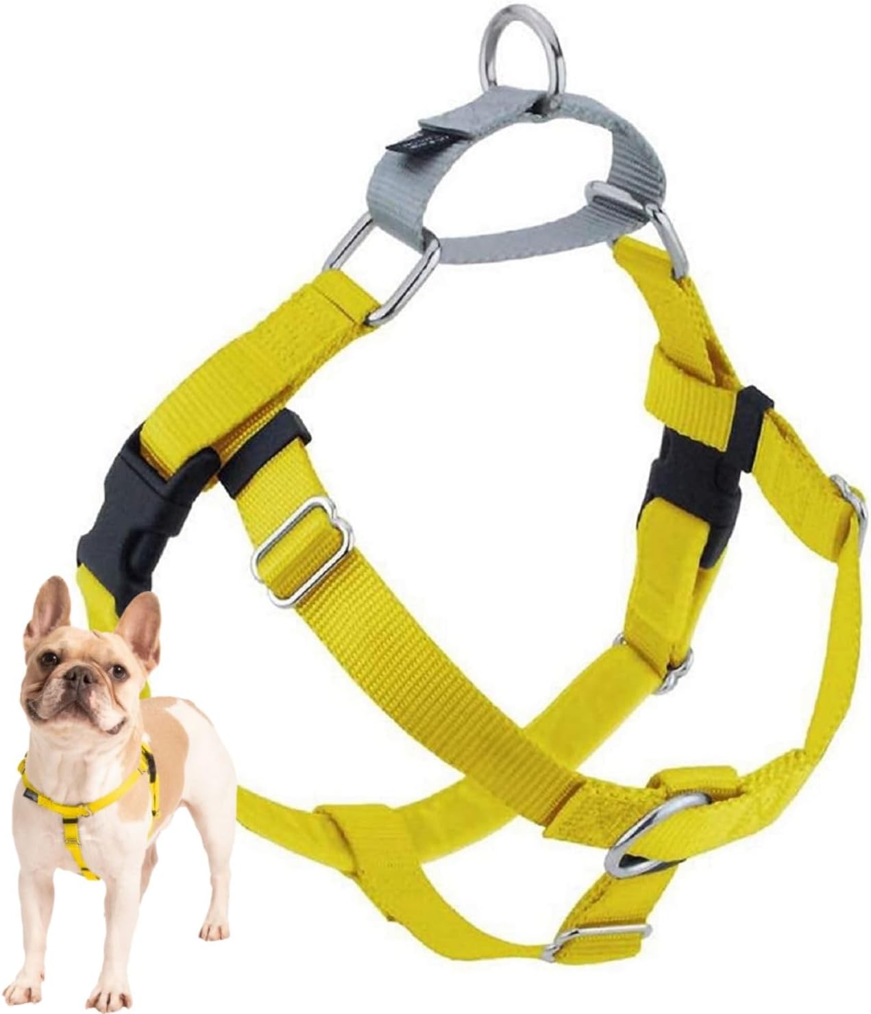 Freedom No Pull Dog Harness, Adjustable Harness, Easy Walking & Comfortable Control, Fits Small, Medium & Large Dogs, Solid Colors, Made in USA, 1" MD, Yellow