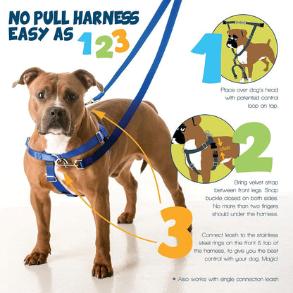Freedom No Pull Dog Harness, Adjustable Harness, Easy Walking & Comfortable Control, Fits Small, Medium & Large Dogs, Solid Colors, Made in USA, 1" MD, Yellow