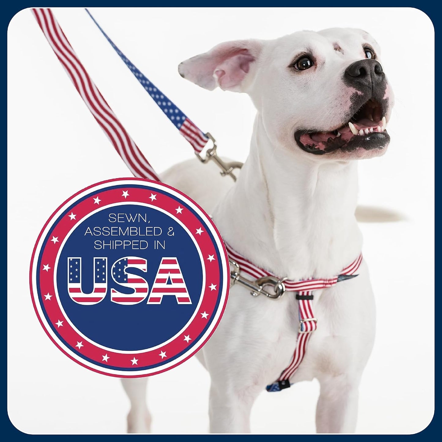 Freedom No Pull Dog Harness, Adjustable Harness, Easy Walking & Comfortable Control, Fits Small, Medium & Large Dogs, Solid Colors, Made in USA, 1" MD, Yellow