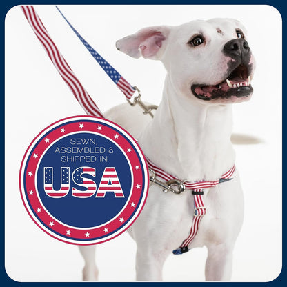 Freedom No Pull Dog Harness, Adjustable Harness, Easy Walking & Comfortable Control, Fits Small, Medium & Large Dogs, Solid Colors, Made in USA, 1" MD, Yellow