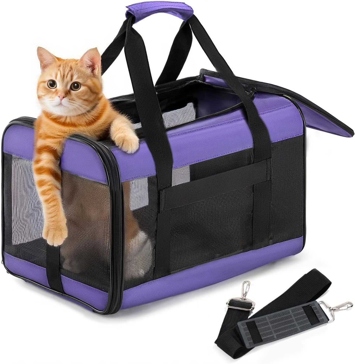 Dog Carrier Soft Sided, Large Cat Carrier with Inner Safety Leash, Pet Transport Carrier for Large Cats and Medium Dogs up to 20 Lbs, Collapsible Travel Puppy Carrier Bag -Purple L