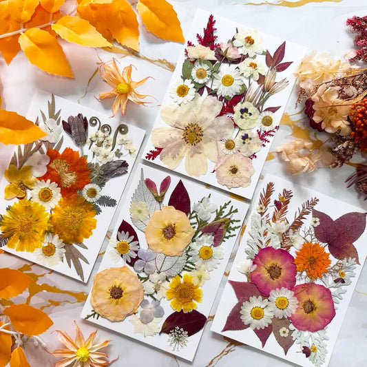 92 Pcs Dried Pressed Flowers for Resin Molds, Vintage White Real Natural Bulk Dry Wildflowers Leaves Perfect for Epoxy, DIY Crafts, Nails, Soap Candles Jewelry Making, and Home Decor