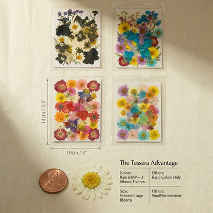 Tessera 160+ Pcs Real Pressed Flowers for Resin & Crafts - 4 Themed Dried Flower Sheets with 4-Piece DIY Tool Kit - for Resin Jewelry Making, Scrapbooking Supplies, Nail Art, Candle & DIY Gifts