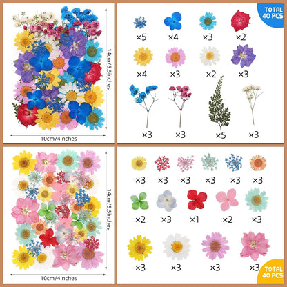 Tessera 160+ Pcs Real Pressed Flowers for Resin & Crafts - 4 Themed Dried Flower Sheets with 4-Piece DIY Tool Kit - for Resin Jewelry Making, Scrapbooking Supplies, Nail Art, Candle & DIY Gifts
