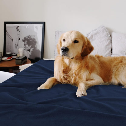 Fleece Throw Blankets Bulk Fleece Blankets Solid Wholesale Lightweight Warm Soft for Pet Bed Sofa Couch Office Wedding Gifts Travel Seasons Yellow 50x60 Inches Pack of 6