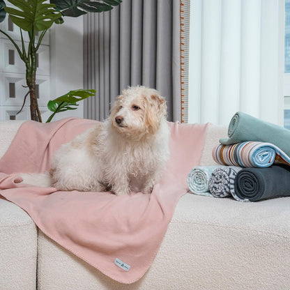 Fleece Throw Blankets Bulk Fleece Blankets Solid Wholesale Lightweight Warm Soft for Pet Bed Sofa Couch Office Wedding Gifts Travel Seasons Yellow 50x60 Inches Pack of 6