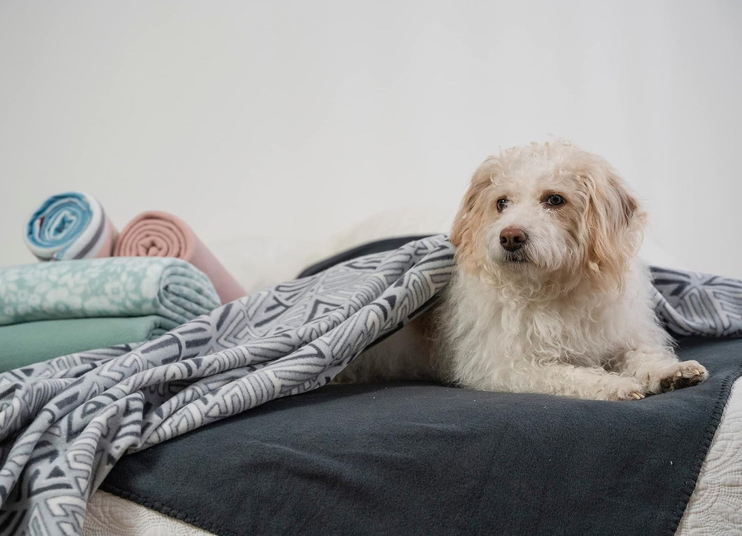 Fleece Throw Blankets Bulk Fleece Blankets Solid Wholesale Lightweight Warm Soft for Pet Bed Sofa Couch Office Wedding Gifts Travel Seasons Yellow 50x60 Inches Pack of 6