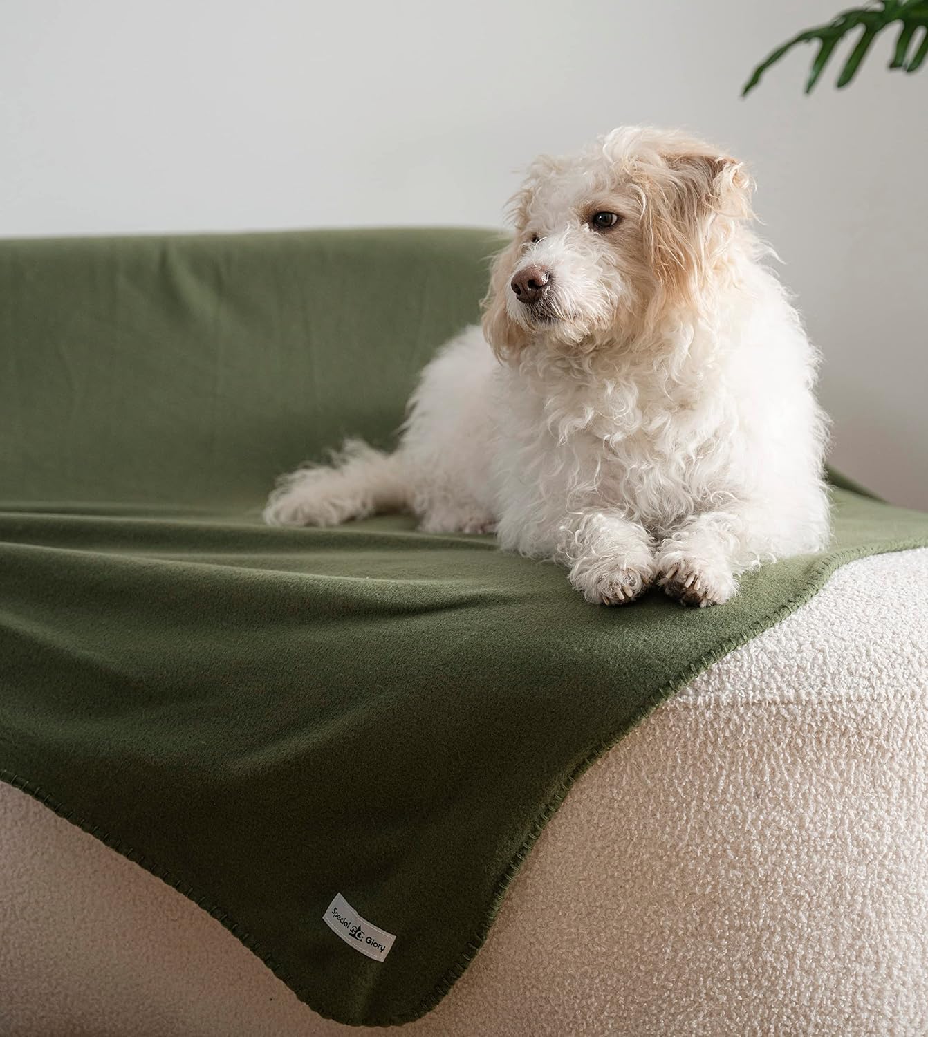 Fleece Throw Blankets Bulk Fleece Blankets Solid Wholesale Lightweight Warm Soft for Pet Bed Sofa Couch Office Wedding Gifts Travel Seasons Yellow 50x60 Inches Pack of 6