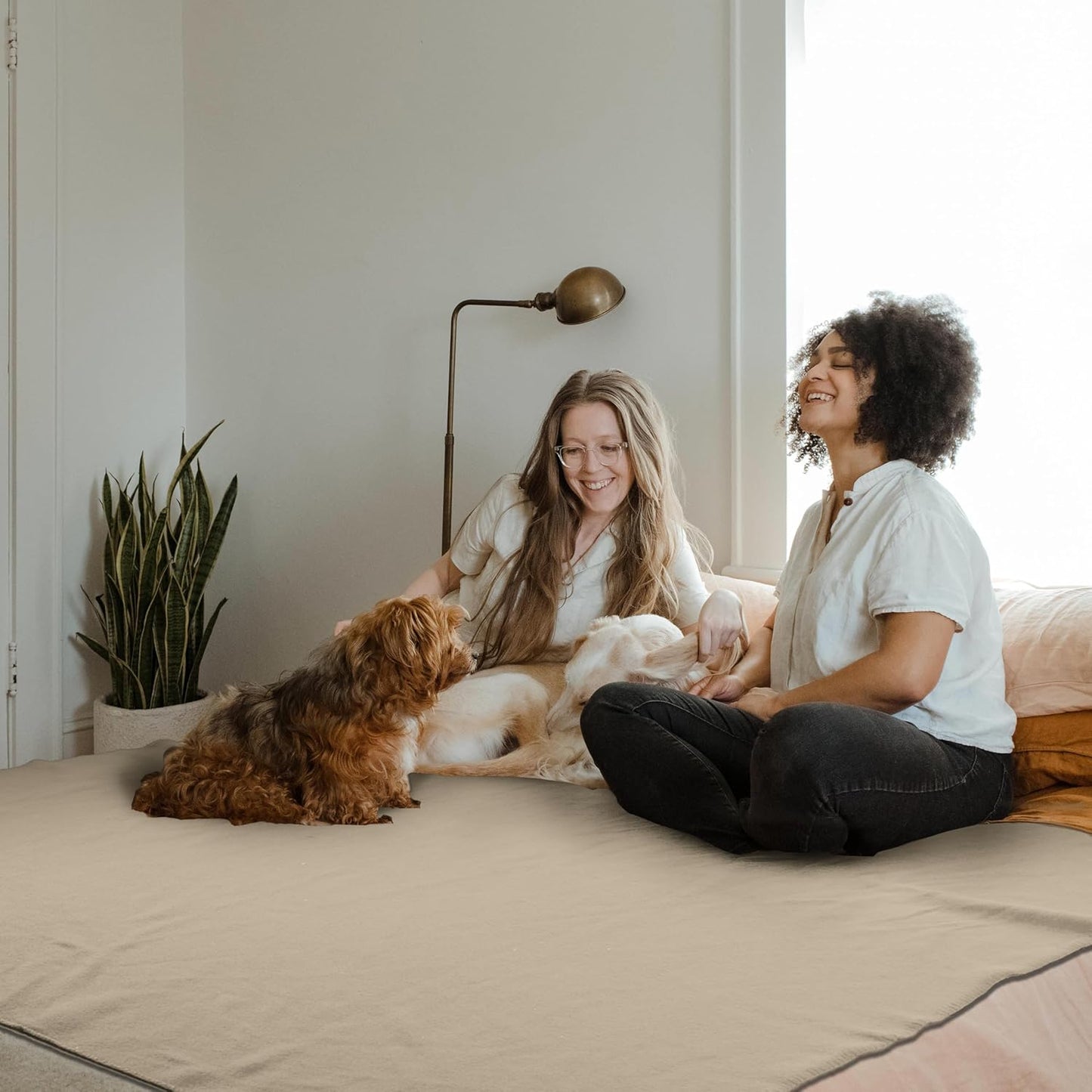 Fleece Throw Blankets Bulk Fleece Blankets Solid Wholesale Lightweight Warm Soft for Pet Bed Sofa Couch Office Wedding Gifts Travel Seasons Yellow 50x60 Inches Pack of 6