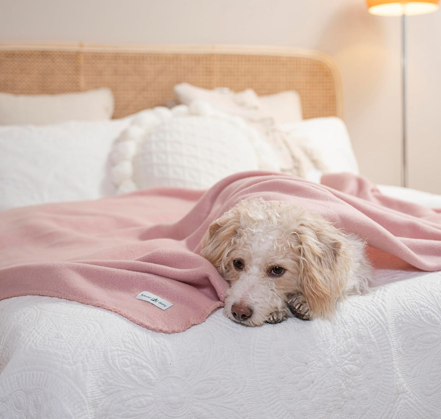 Fleece Throw Blankets Bulk Fleece Blankets Solid Wholesale Lightweight Warm Soft for Pet Bed Sofa Couch Office Wedding Gifts Travel Seasons Yellow 50x60 Inches Pack of 6