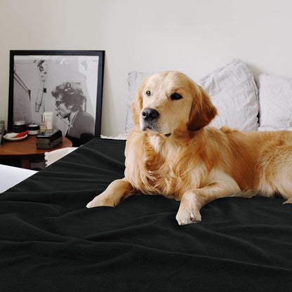 Fleece Throw Blankets Bulk Fleece Blankets Solid Wholesale Lightweight Warm Soft for Pet Bed Sofa Couch Office Wedding Gifts Travel Seasons Yellow 50x60 Inches Pack of 6