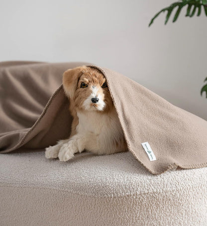 Fleece Throw Blankets Bulk Fleece Blankets Solid Wholesale Lightweight Warm Soft for Pet Bed Sofa Couch Office Wedding Gifts Travel Seasons Yellow 50x60 Inches Pack of 6