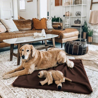 Fleece Throw Blankets Bulk Fleece Blankets Solid Wholesale Lightweight Warm Soft for Pet Bed Sofa Couch Office Wedding Gifts Travel Seasons Yellow 50x60 Inches Pack of 6