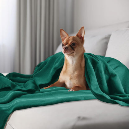 Fleece Throw Blankets Bulk Fleece Blankets Solid Wholesale Lightweight Warm Soft for Pet Bed Sofa Couch Office Wedding Gifts Travel Seasons Yellow 50x60 Inches Pack of 6